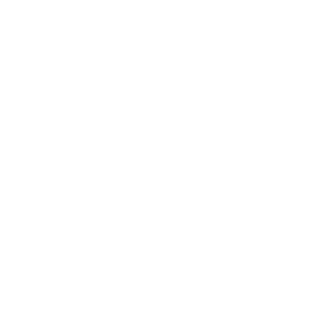 Wanghoi logo