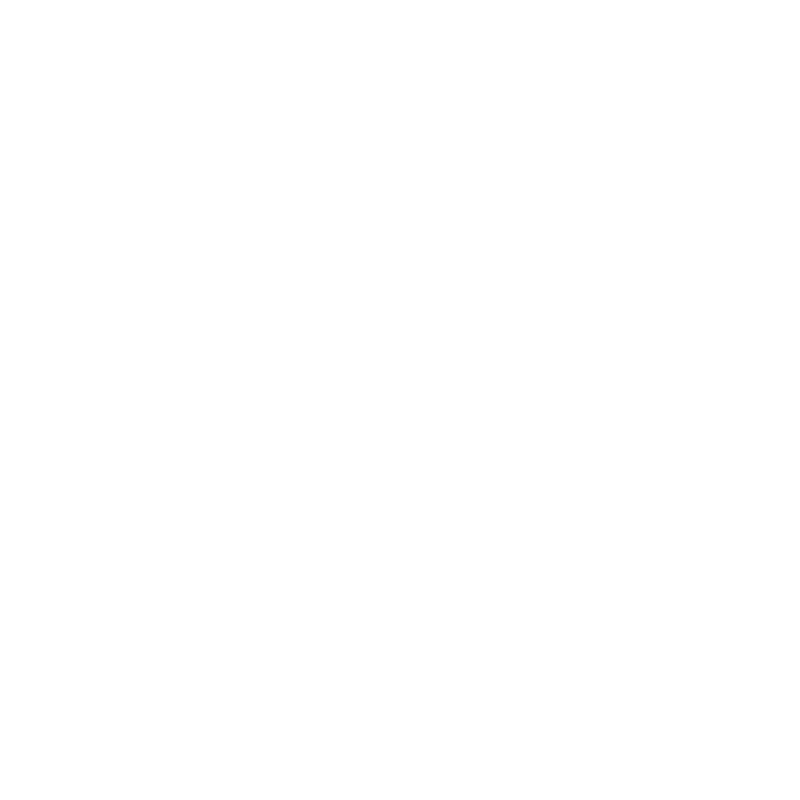 Wanghoi logo