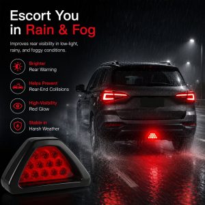 Triangle LED rear fog light rain and fog effect