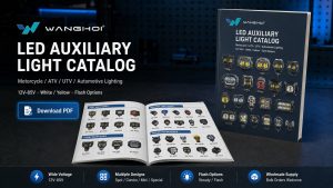 Wanghoi LED Auxiliary Light catalog preview