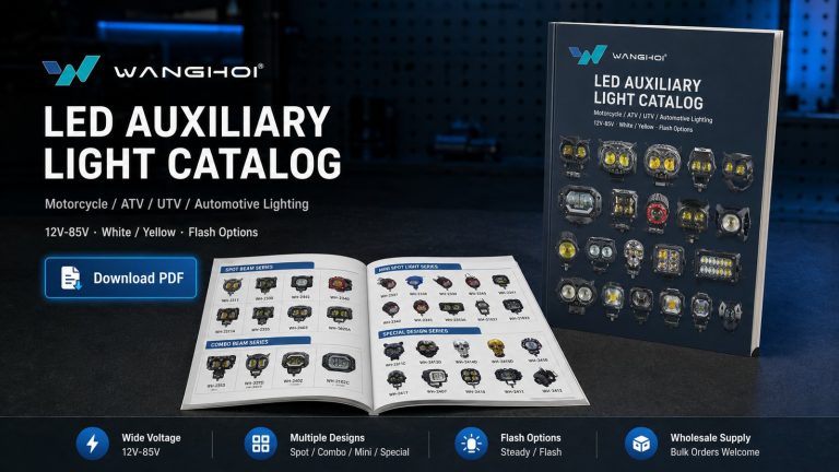 Wanghoi LED Auxiliary Light catalog preview