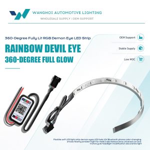 360 Degree Rgb Bluetooth App Demon Eye Led Strip Overview English overview graphic with Wanghoi B2B positioning and product kit view.