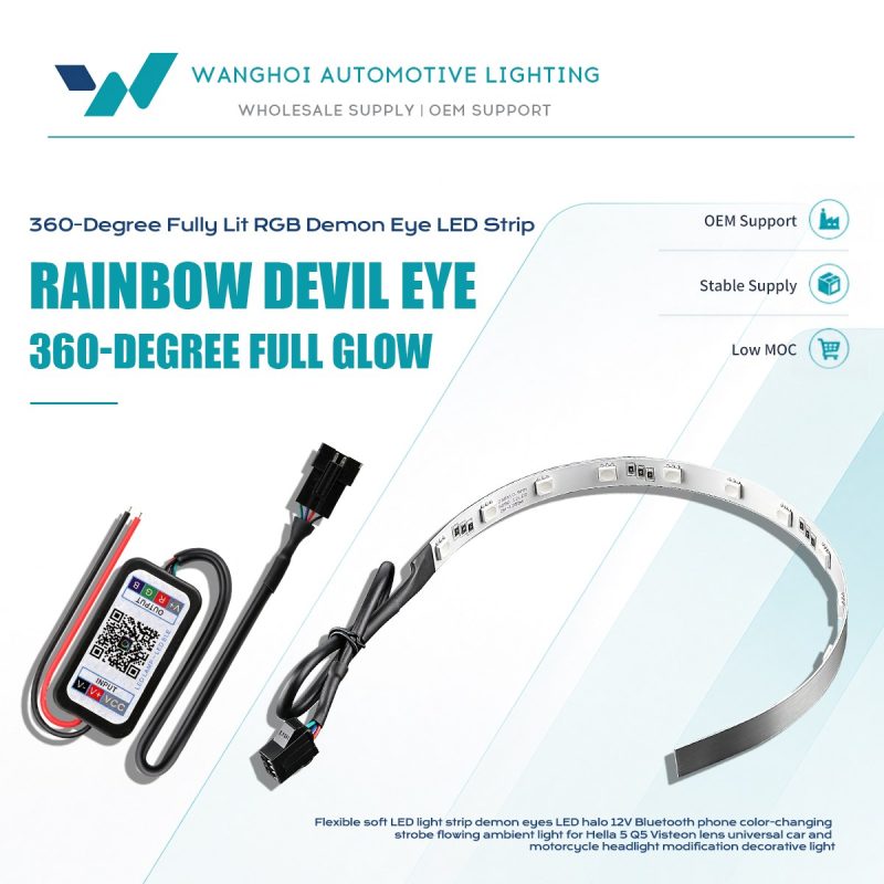 360 Degree Rgb Bluetooth App Demon Eye Led Strip Overview English overview graphic with Wanghoi B2B positioning and product kit view.