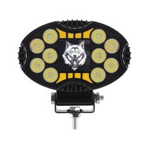 8020 8021 Oval Angel Eye Led Work Light Series 01 Angel 8020 Front 8020/8021 Oval Angel Eye LED Work Light Series