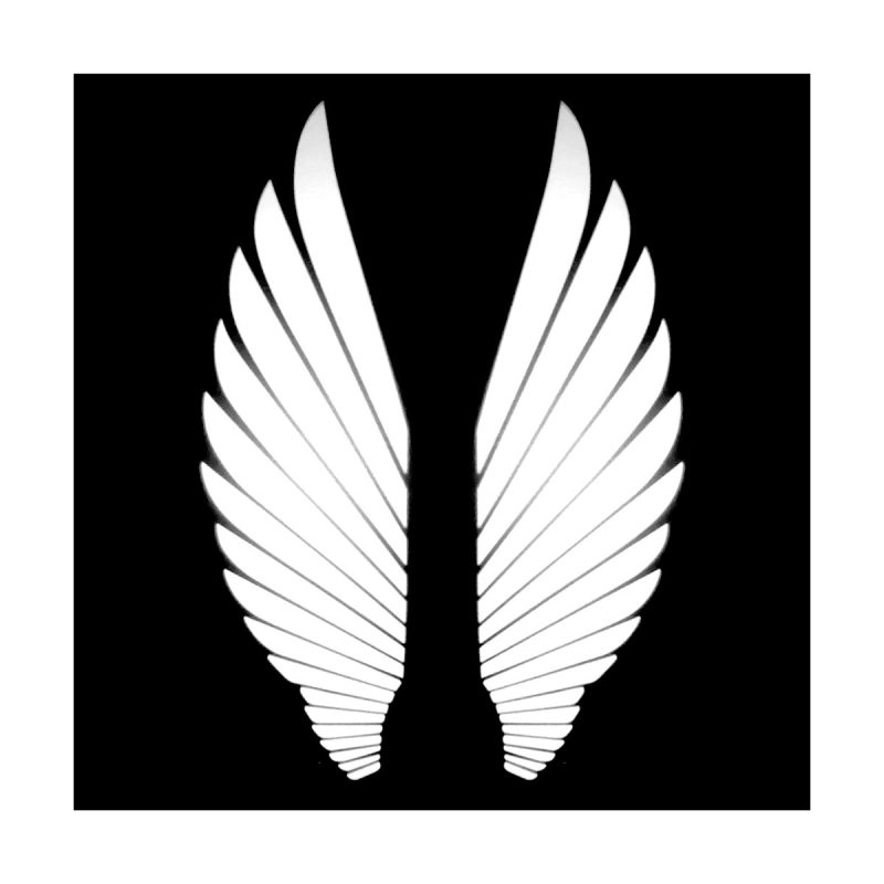Angel Wing Welcome Projector Light Car Motorcycle 05 Angel Wing White Angel wing welcome projector light white projection effect